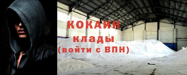 крисы Ельня