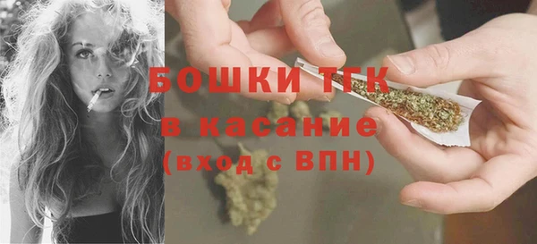крисы Ельня