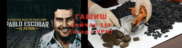 крисы Ельня