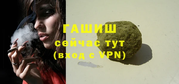 крисы Ельня