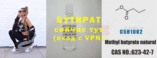 крисы Ельня