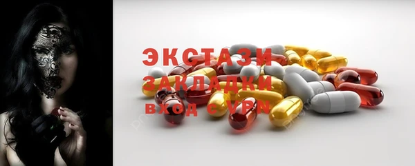 крисы Ельня