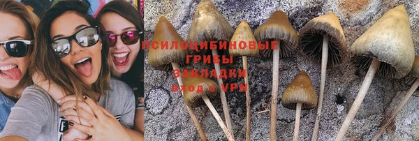 бутират Елабуга