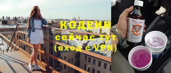 крисы Ельня