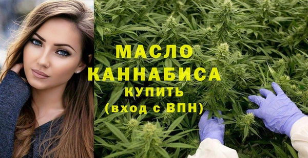 крисы Ельня