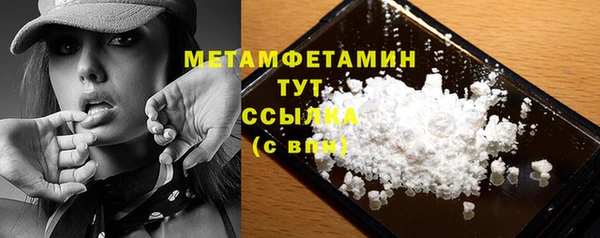 крисы Ельня