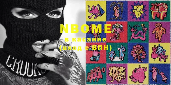 крисы Ельня
