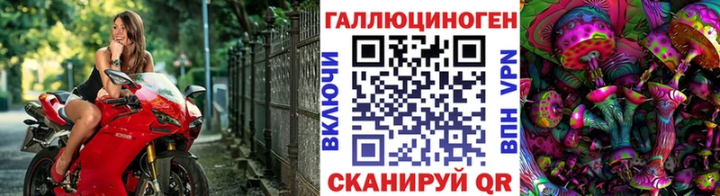 Галлюциногенные грибы Psilocybine cubensis  KRAKEN вход  Вологда 