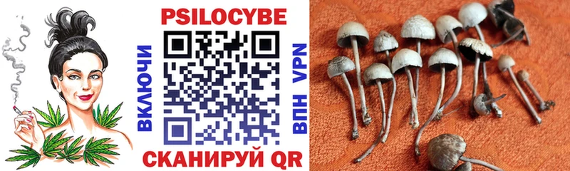 Галлюциногенные грибы мицелий Вологда